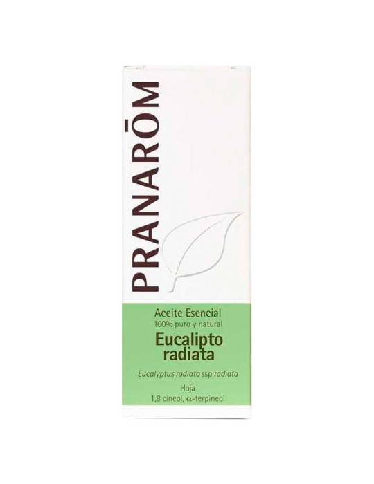 PRANAROM ACEITE ESENCIAL EUCALIPTO RADIATA 1 ENVASE 10 ML