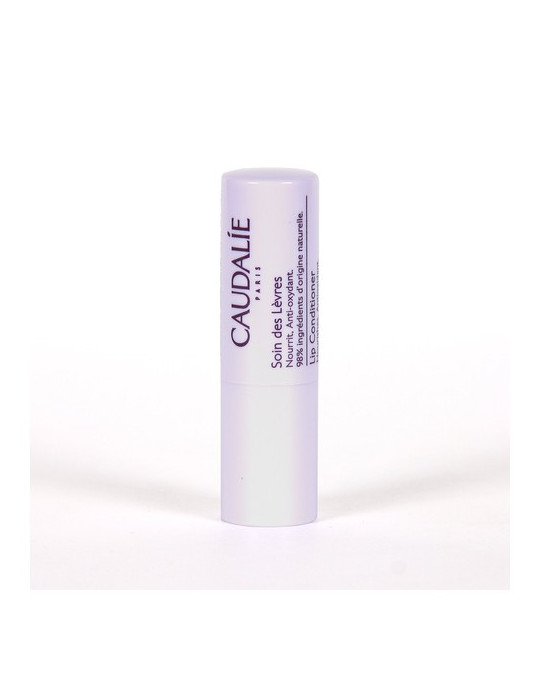 CAUDALIE VINOTHERAPIST STICK LABIOS