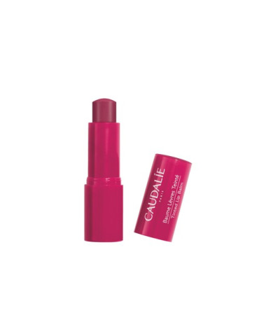 CAUDALIE VINOTHERAPIST STICK LABIOS ROSA