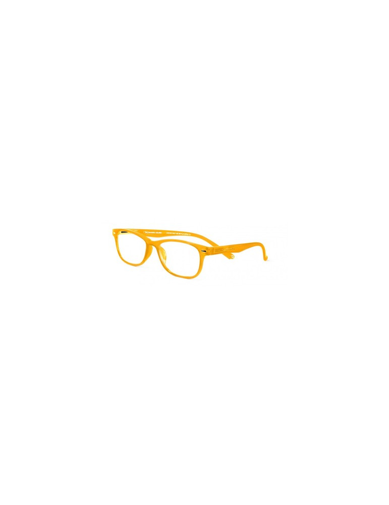 GAFA PROTECVISION SALAMANDRA COLOUR ORANGE +2.00