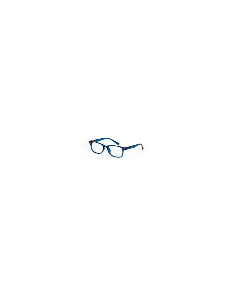 GAFAS PROTEC VISION FLAMENCO BLUE +01.00