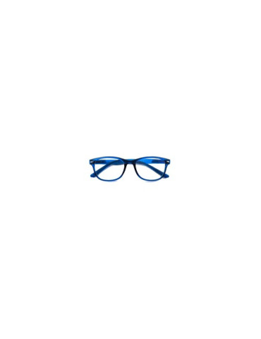GAFA PROTECVISION SALAMANDRA  COLOUR AÑIL +1.00
