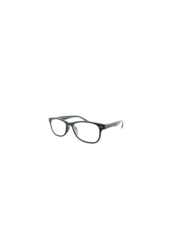 GAFA PROTECVISION SALAMANDRA II GREY +2.50