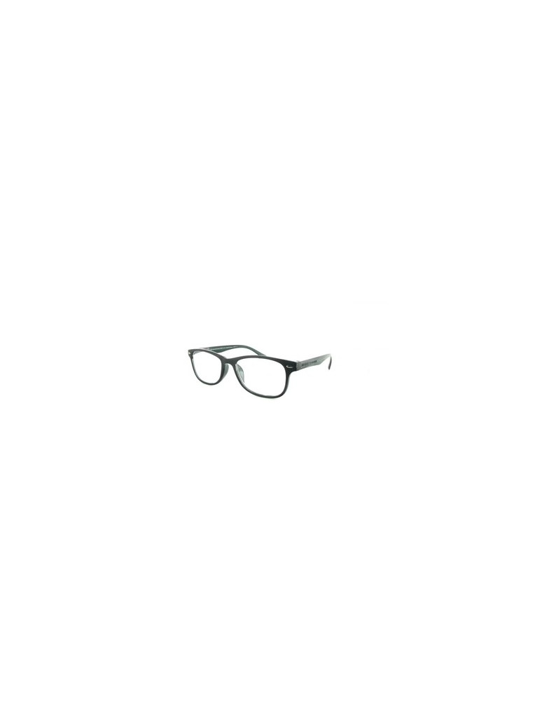 GAFA PROTECVISION SALAMANDRA II GREY+3.00
