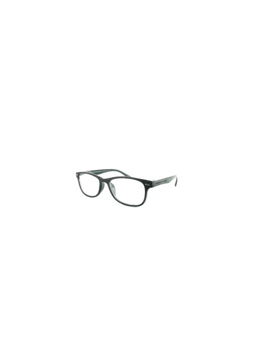 GAFA PROTECVISION SALAMANDRA II GREY+3.00